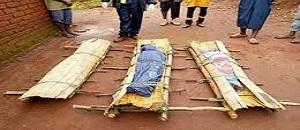 Sete cadáveres encontrados nas matas de Sussundenga e Gondola